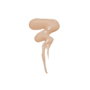 Makeup Revolution Revolution Pro Corrector líquido C 7, 8.5 ml
