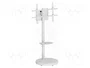GEMBIRD Soporte para TV 37-86 pulgadas Blanco