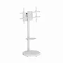 GEMBIRD Soporte para TV 37-86 pulgadas Blanco