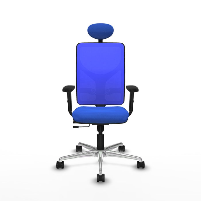 PIQUERAS Y CRESPO Silla de oficina Motilla con mecanismo Sincro/Traslack Azul PIQUERAS Y CRESPO Silla de oficina Motilla con mecanismo Sincro/Traslack Azul