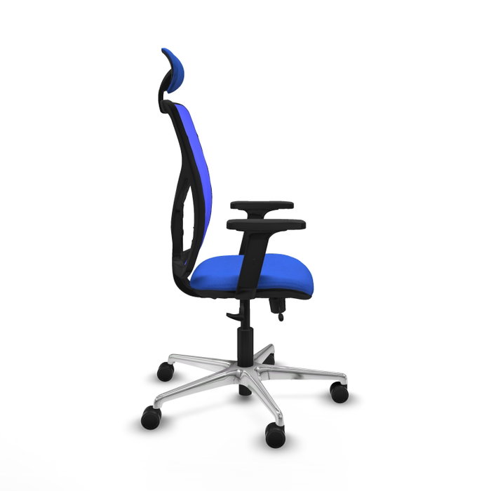PIQUERAS Y CRESPO Silla de oficina Motilla con mecanismo Sincro/Traslack Azul PIQUERAS Y CRESPO Silla de oficina Motilla con mecanismo Sincro/Traslack Azul