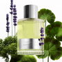 Tom Ford Beau de Jour Eau de Parfum 100 ml