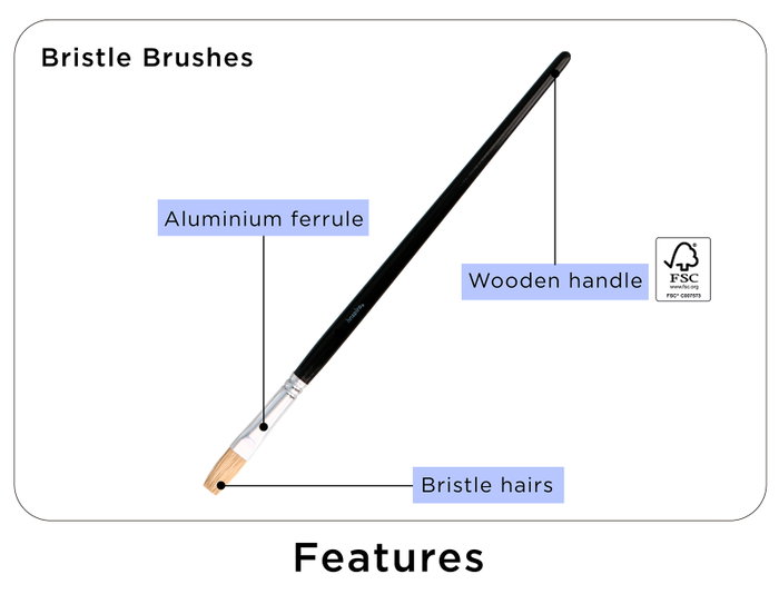 Innspiro Caja de 12 Pinceles de Cerda Plano Mango Corto nº16