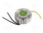 BREVE TUFVASSONS Transformador Toroidal 60VA 230VAC/12V 5A