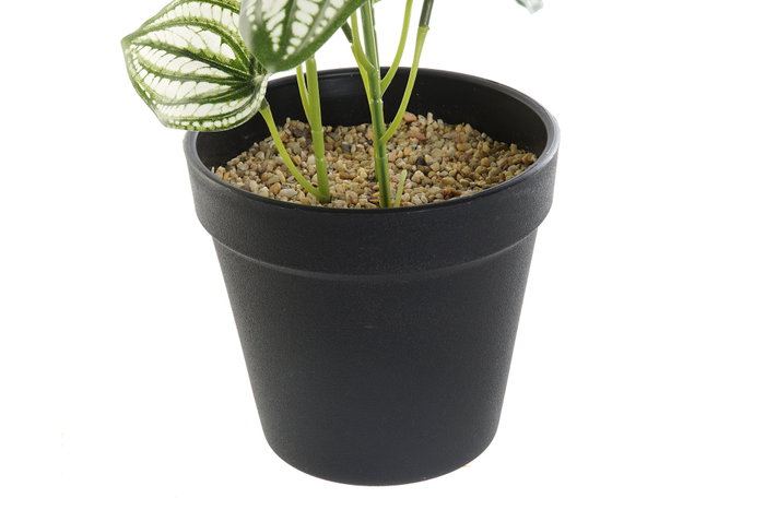 DKD Home Decor Planta Verde Negro 13 x 27 x 13 cm Plástico (4 Unidades)