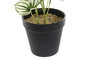 DKD Home Decor Planta Verde Negro 13 x 27 x 13 cm Plástico (4 Unidades)