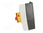 EATON ELECTRIC Interruptor de levas principal P1-32/I2/SVB/N 32A 15kW