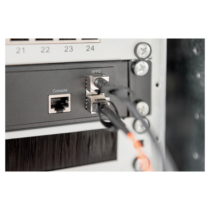 Digitus Cable SFP+ 10G DAC 2m Negro AWG 30 MSA