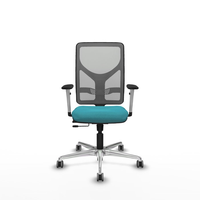 PIQUERAS Y CRESPO Silla de oficina Motilla con mecanismo Sincro/Traslack, Tela Turquesa y Malla Gris PIQUERAS Y CRESPO Silla de oficina Motilla con mecanismo Sincro/Traslack, Tela Turquesa y Malla Gris
