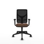 Silla de oficina Motilla con mecanismo Sincro tapizada con Tela color Marrón oscuro y malla color negra. Equipada con lumbar 1D, Brazos 1D y Ruedas 65mm nailon