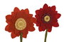 DKD Home Decor Sujetapuertas Multicolor 14 x 33 x 14 cm (2 Unidades)