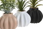 DKD Home Decor Planta Artificial Crema Negro Blanco Verde Cerámica 8 x 13 x 8 cm (6 Unidades)