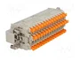ILME CDSHM42N Conector HDC Macho de 42 Pines