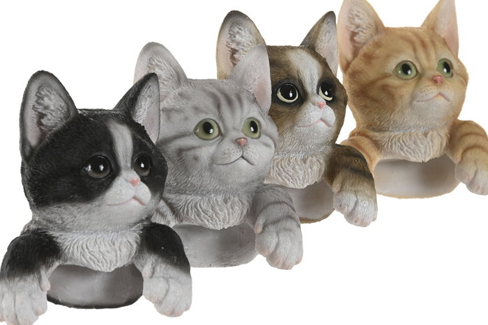 DKD Home Decor Set de 4 Figuras Gato Maceta en Resina
