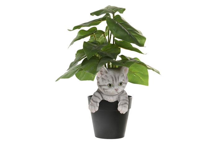 DKD Home Decor Set de 4 Figuras Gato Maceta en Resina