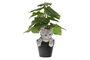 DKD Home Decor Set de 4 Figuras Gato Maceta en Resina