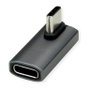 ROLINE Adaptador USB4 Gen 3x2 USB Type C Plata