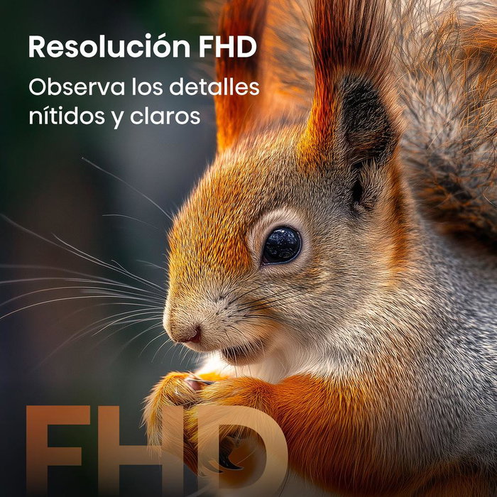 Hisense 32A5S - Smart TV 32 Pulgadas QLED Full HD HDR10 Smart TV HomeOS con Netflix, Prime Video, Dolby MS12