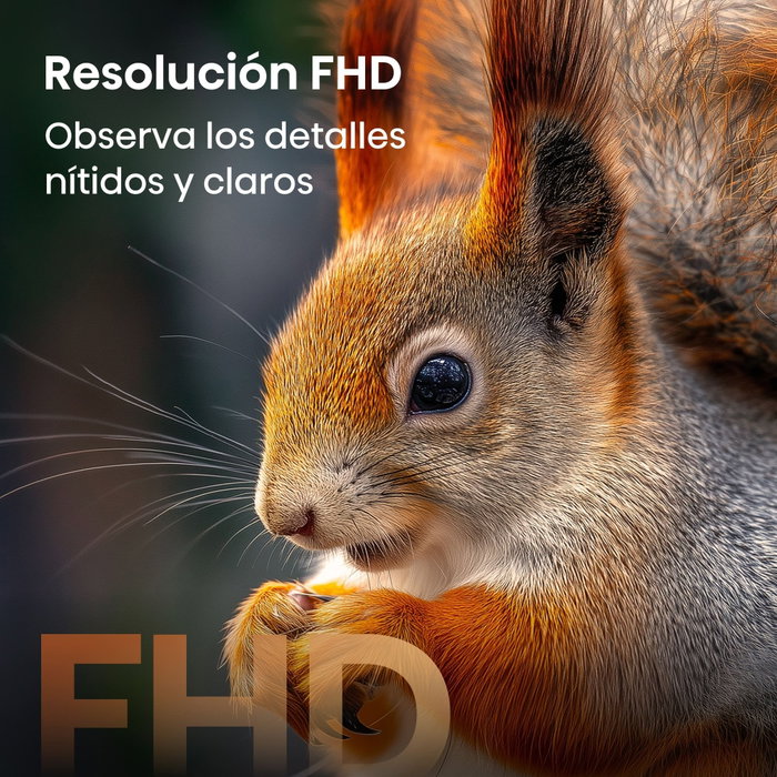 Hisense 32A5S Smart TV QLED Full HD 32 pulgadas Hisense 32A5S Smart TV QLED Full HD 32 pulgadas