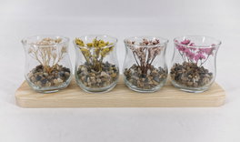 DKD Home Decor Decoración de Madera y Cristal con Flor Seca