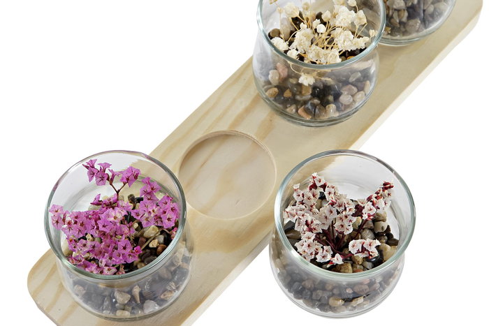 DKD Home Decor Decoración de Madera y Cristal con Flor Seca