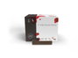 Imagine Xmile Dental Sticks Barritas Dentales L 15 Unidades