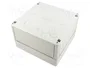 SPELSBERG TK PC 1818-11-O Carcasa Universal Gris IP66