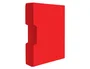Liderpapel Carpeta Personalizable con 100 Fundas DIN A4 Rojo Traslúcido