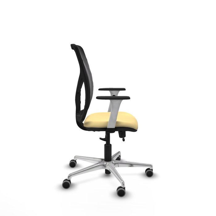 PIQUERAS Y CRESPO Silla de oficina Motilla con mecanismo Sincro/Traslack Crema y Negro PIQUERAS Y CRESPO Silla de oficina Motilla con mecanismo Sincro/Traslack Crema y Negro