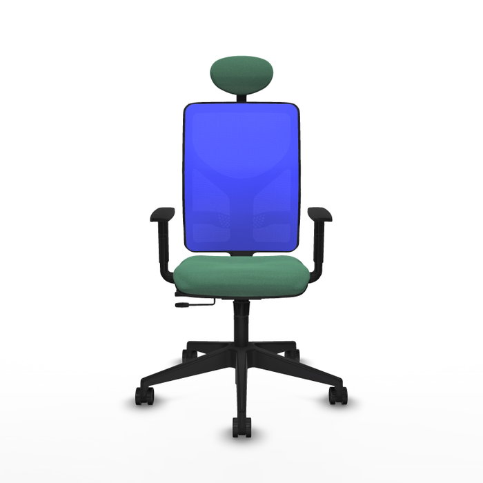 PIQUERAS Y CRESPO Silla de oficina Motilla, Sincro/Traslack, Verde esmeralda/Azul, Cabecero Fijo, Brazos 1D, Lumbar 1D PIQUERAS Y CRESPO Silla de oficina Motilla, Sincro/Traslack, Verde esmeralda/Azul, Cabecero Fijo, Brazos 1D, Lumbar 1D