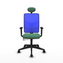 PIQUERAS Y CRESPO Silla de oficina Motilla, Sincro/Traslack, Verde esmeralda/Azul, Cabecero Fijo, Brazos 1D, Lumbar 1D