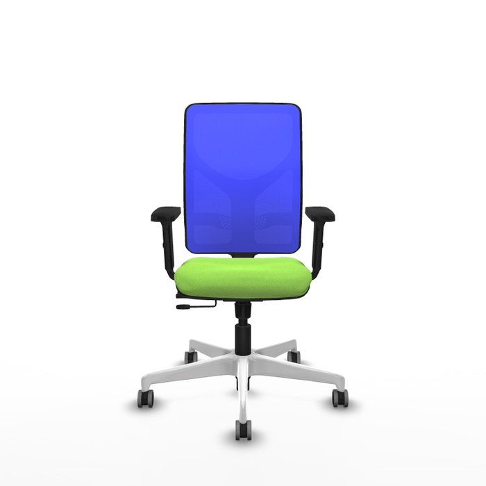 PIQUERAS Y CRESPO Silla de oficina Motilla con mecanismo Sincro/Traslack, Pistacho y Azul PIQUERAS Y CRESPO Silla de oficina Motilla con mecanismo Sincro/Traslack, Pistacho y Azul
