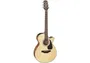 Takamine Gf30 Folk Cutaway Electroacústica Natural - Guitarra Acústica con Pastilla y Cutaway