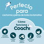 Coachi Tuggi Hide Azul-Lima-Azul Claro (Set de 48)