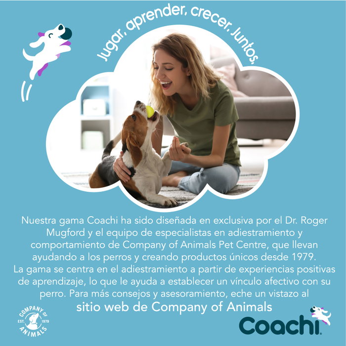 Coachi Tuggi Hide Azul-Lima-Azul Claro (Set de 48) Coachi Tuggi Hide Azul-Lima-Azul Claro (Set de 48)