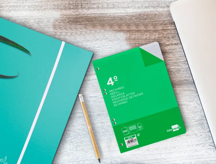 Liderpapel Recambio Cuarto 100 Hojas 60gr Milimetrado 2mm Sin Margen 6 Taladros