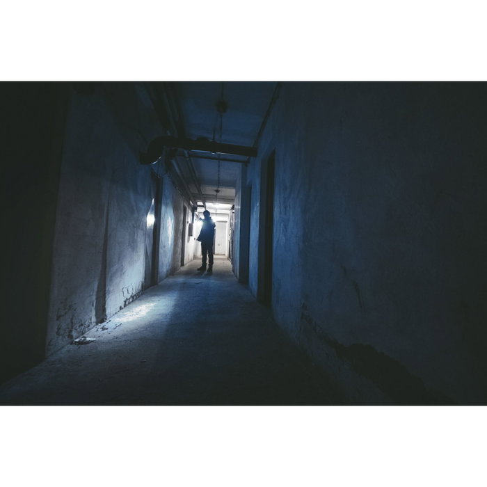 Ansmann Daily Use 270B Linterna LED con 3xAAA