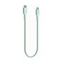 Green Cell Cable USB C a USB C de 0,3 m, Verde