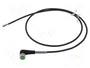 MURRELEKTRONIK Cable para sensores M12 hembra angular 1m 4 pines 4A