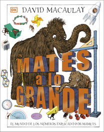 DORLING KINDERSLEY (DK) MATES A LO GRANDE, AAVV - DORLING KINDERSLEY (DK)