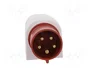 PAWBOL Conector de alimentación AC trifásico macho 32A 400V 5 pines