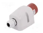 PAWBOL Conector de alimentación AC trifásico macho 32A 400V 5 pines