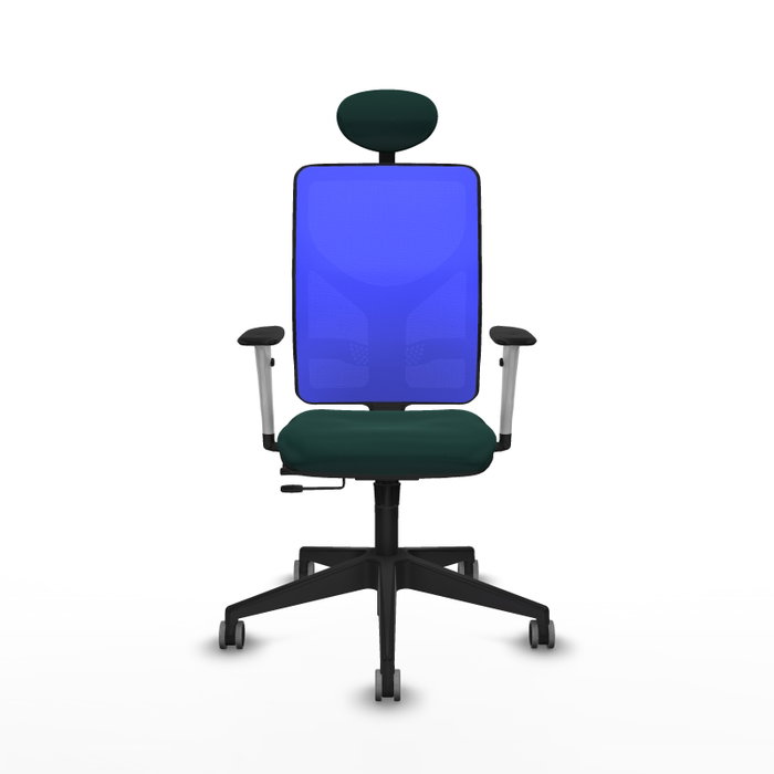 PIQUERAS Y CRESPO Silla de oficina Motilla con mecanismo Sincro/Traslack Verde botella y Azul PIQUERAS Y CRESPO Silla de oficina Motilla con mecanismo Sincro/Traslack Verde botella y Azul