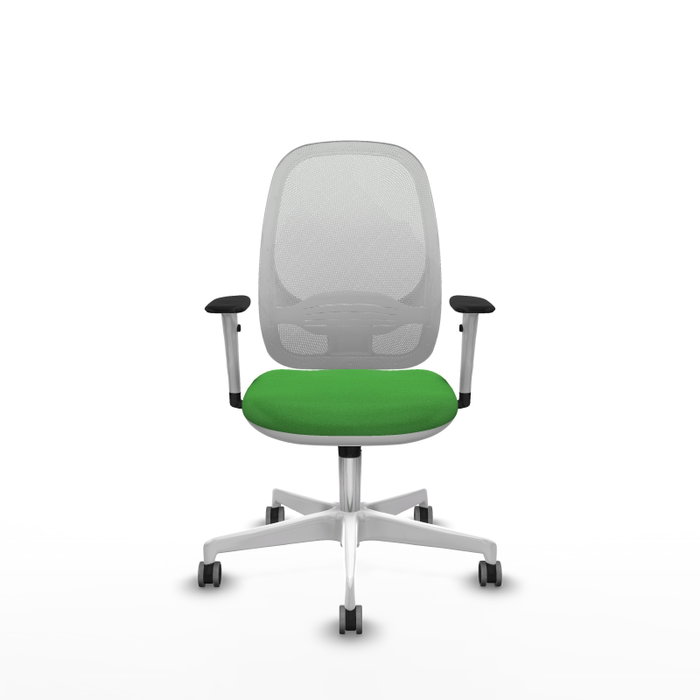 PIQUERAS Y CRESPO Silla de oficina Cilanco con mecanismo Sincro Verde y Blanco PIQUERAS Y CRESPO Silla de oficina Cilanco con mecanismo Sincro Verde y Blanco