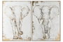 DKD Home Decor Cuadro de Elefante en Lienzo, Set de 2, 100x140 cm