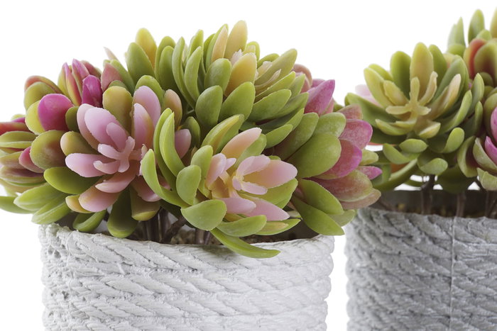 DKD Home Decor Planta Beige Gris 14.5 x 16 x 14.5 cm (4 Unidades)