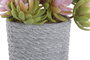 DKD Home Decor Planta Beige Gris 14.5 x 16 x 14.5 cm (4 Unidades)