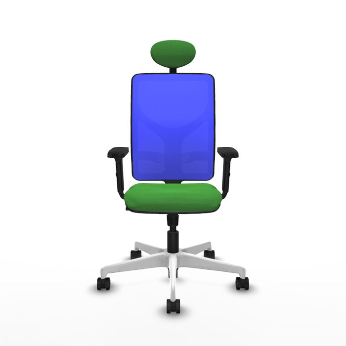 PIQUERAS Y CRESPO Silla de oficina Motilla con mecanismo Sincro, Verde y Azul PIQUERAS Y CRESPO Silla de oficina Motilla con mecanismo Sincro, Verde y Azul