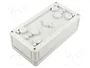 SPELSBERG TK PC 1809-6-O Carcasa Universal de Policarbonato Gris
