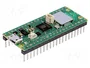 RASPBERRY PI Raspberry Pi PICO WH